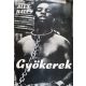 Alex Haley: Gyökerek