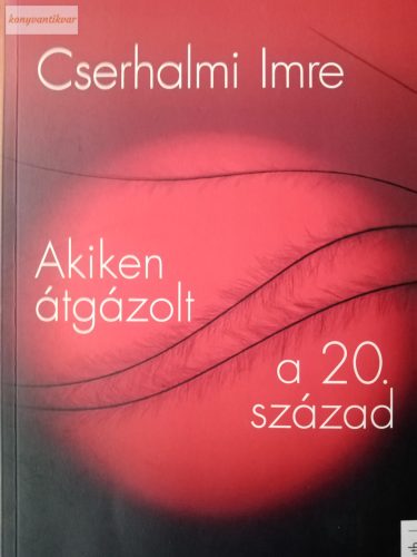 Cserhalmi Imre: Akiken átgázolt a 20. század