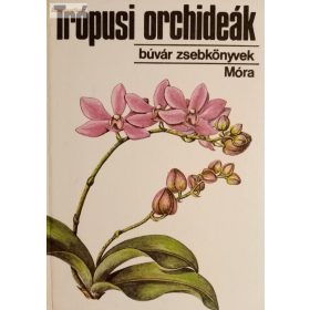 Sulyok Mária: Trópusi orchideák 
