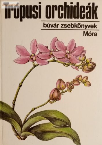 Sulyok Mária: Trópusi orchideák 