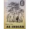 Eduard Klein: Az indián