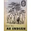 Eduard Klein: Az indián