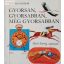 Holdas Sándor: Gyorsan, gyorsabban, még gyorsabban