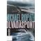 Michael Ridpath: Olvadáspont
