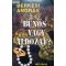 Berkesi András Bűnös vagy áldozat?