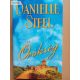 Danielle Steel: Örökség