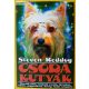 Steven Reddog Csodakutyák