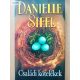 Danielle Steel: Családi kötelékek 