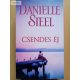 Danielle Steel: Csendes éj