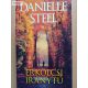 Danielle Steel: Erkölcsi iránytű 