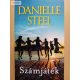 Danielle Steel: Számjáték