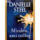 Danielle Steel: Minden, ami csillog