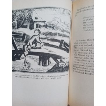 Lengyel Dénes Újkori ​bölcsek nyomában