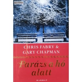 Chris Fabry – Gary Chapman: Parázs a hó alatt