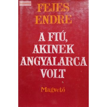 Fejes Endre  A fiú, akinek angyalarca volt