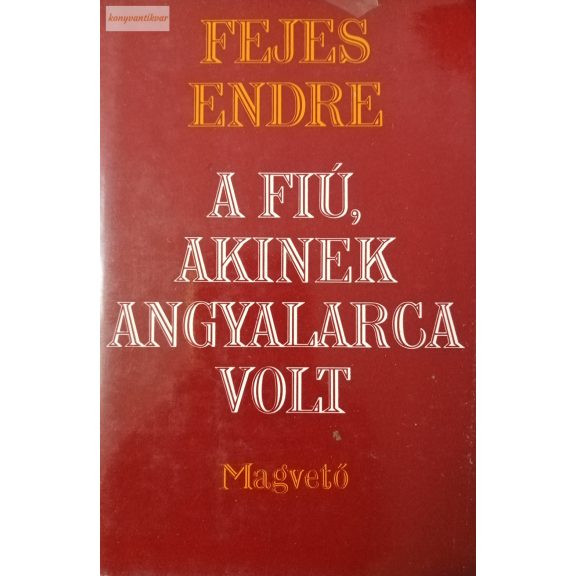 Fejes Endre  A fiú, akinek angyalarca volt