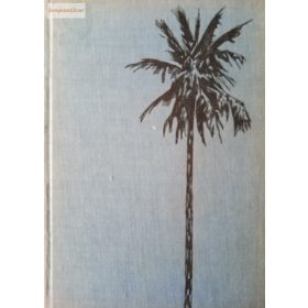 Jules Verne: Nyolcszáz mérföld az Amazonason