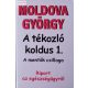 Moldova György: A tékozló koldus 