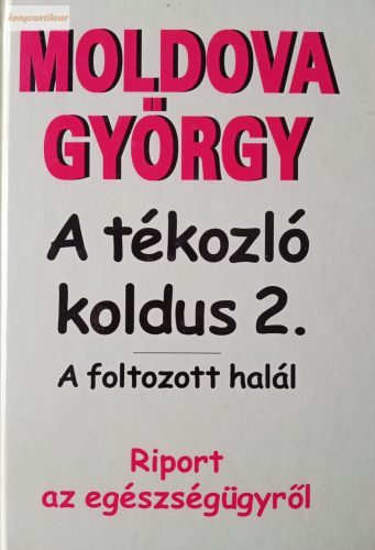 Moldova György A tékozló koldus