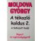Moldova György A tékozló koldus