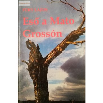 Füry Lajos: Eső a Mato Grossón