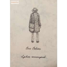 Bíró Balázs: Lyukas tarisznyával