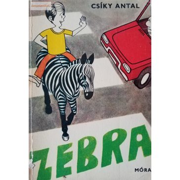 Csíky Antal: Zebra