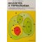 W. G. Chinn – N. E. Steenrod: Bevezetés a topológiába