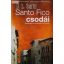 D. L. Smith Santo ​Fico csodái 