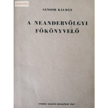 Sándor Kálmán: A neandervölgyi főkönyvelő