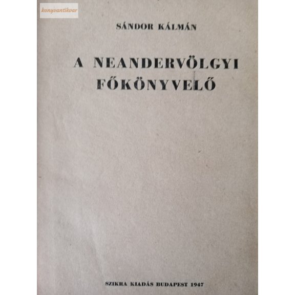 Sándor Kálmán: A neandervölgyi főkönyvelő