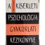 Paul Fraisse: A kísérleti pszichológia gyakorlati kézikönyve