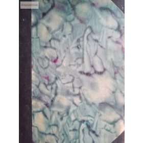 Fazekas Mihály: Lúdas Matyi