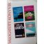 Mary Higgins Clark – Kristin Hannah – Stella Rimington – Ben Sherwood: Éjjeli bagoly / Bármit a szerelemért / Végveszélyben / Charlie St Cloud halála és élete