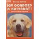 Veress István: Így gondozd a kutyádat