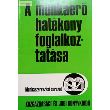   Berey András-Dobos Irma: A munkaerő hatékony foglalkoztatása