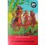 Friedrich Gerstacker: Az indián bosszúja