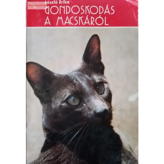 László Erika: Gondoskodás a macskáról László Erika: Gondoskodás a macskáról