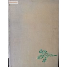 Rudo Moric: A kincses vadásztarisznya