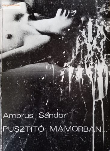 Ambrus Sándor: Pusztító mámorban