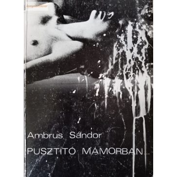 Ambrus Sándor: Pusztító mámorban