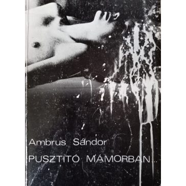 Ambrus Sándor: Pusztító mámorban
