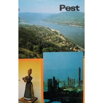   Gyenes László (szerk.) – Barinkai Oszkárné – Nagy Sándorné – Sági Ágnes – Csaplár György – Fábri Magda: Pest