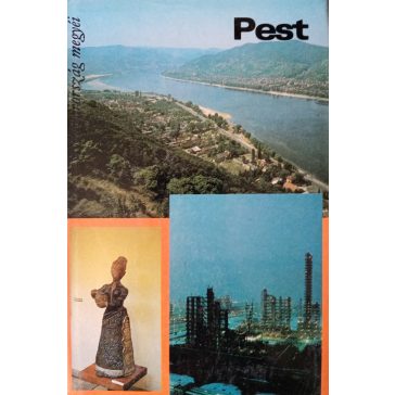   Gyenes László (szerk.) – Barinkai Oszkárné – Nagy Sándorné – Sági Ágnes – Csaplár György – Fábri Magda: Pest