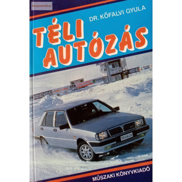 Kőfali Gyula: Téli autózás