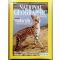National Geographic 2007.03